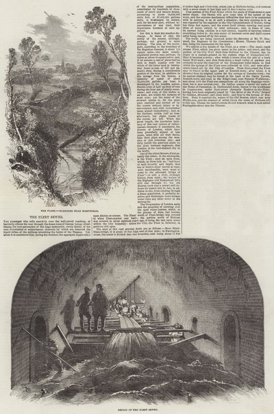 Le tout-à-l